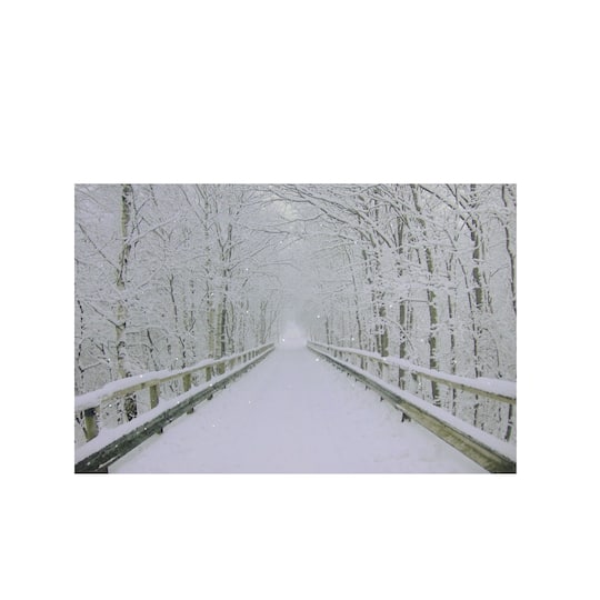 Winter Wooden Bridge Fiber Optic Lighted Canvas Wall Art By Northlight in White | 12" x 16" | Michaels®